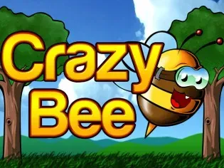 Crazy Bee game thumbnail